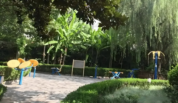 预售惨淡人气暴跌谁也救不了“狂妄自大”的那英